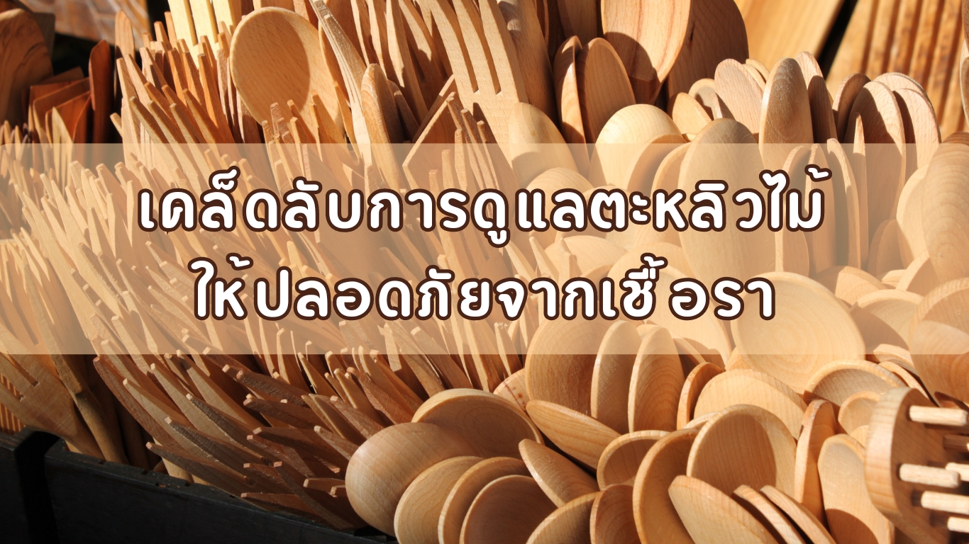 เคล็ดลับการดูแลตะหลิวไม้ ให้ปลอดภัยจากเชื้อรา