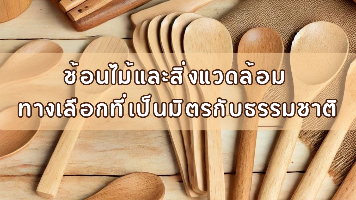 ช้อนไม้และสิ่งแวดล้อม ทางเลือกที่เป็นมิตรกับธรรมชาติ