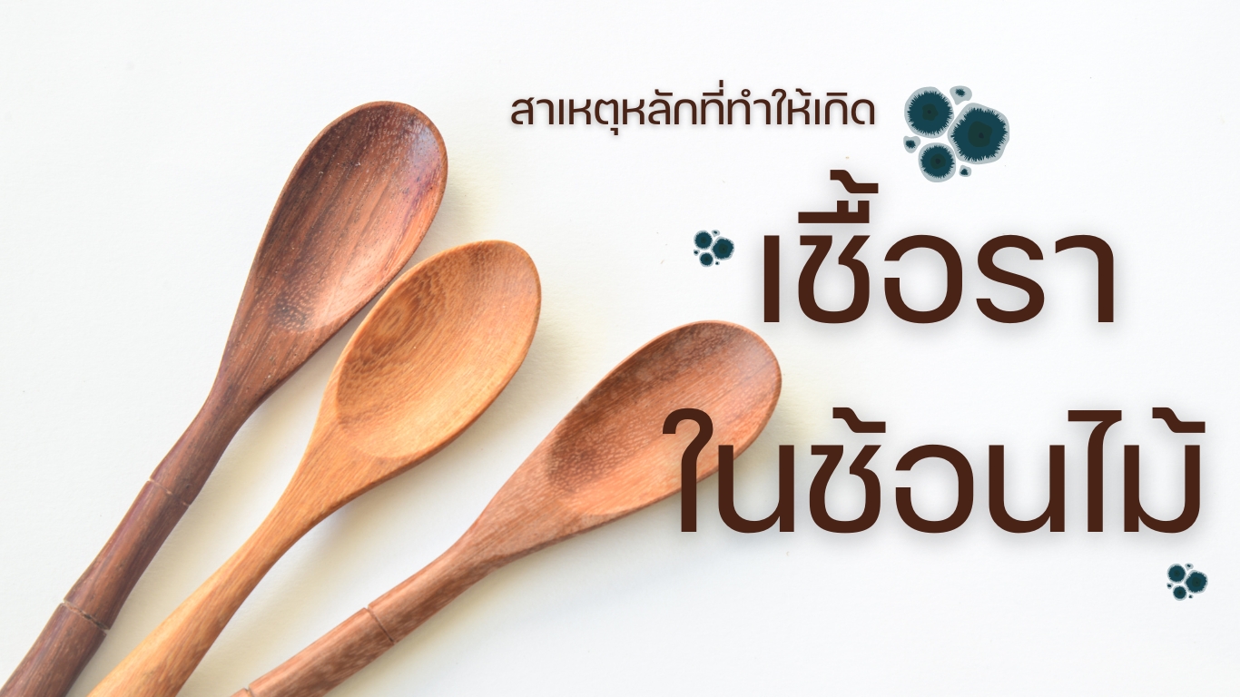 เชื้อราในช้อนไม้ สาเหตุหลักมาจากความชื้นและการเก็บรักษาที่ไม่ถูกวิธี