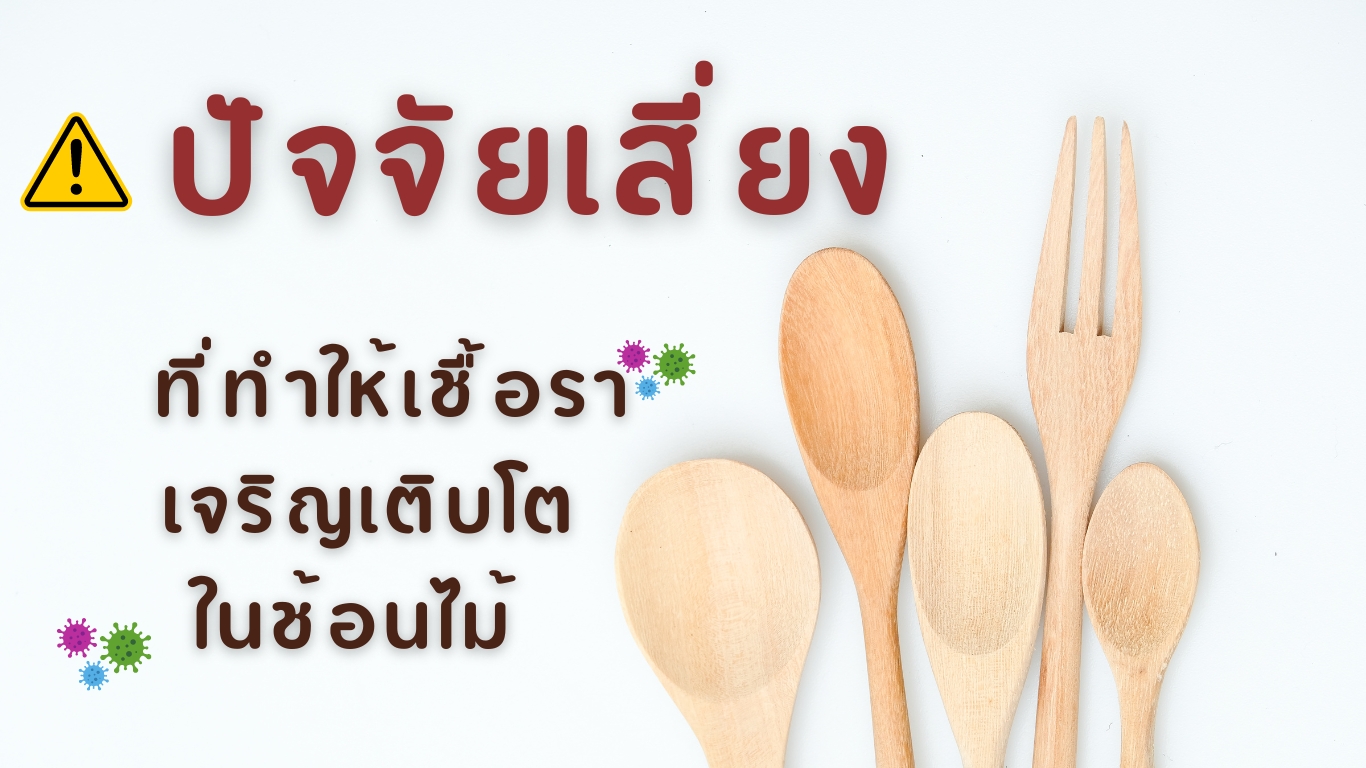 ปัจจัยเสี่ยงที่ทำให้เชื้อราเจริญเติบโตในช้อนไม้