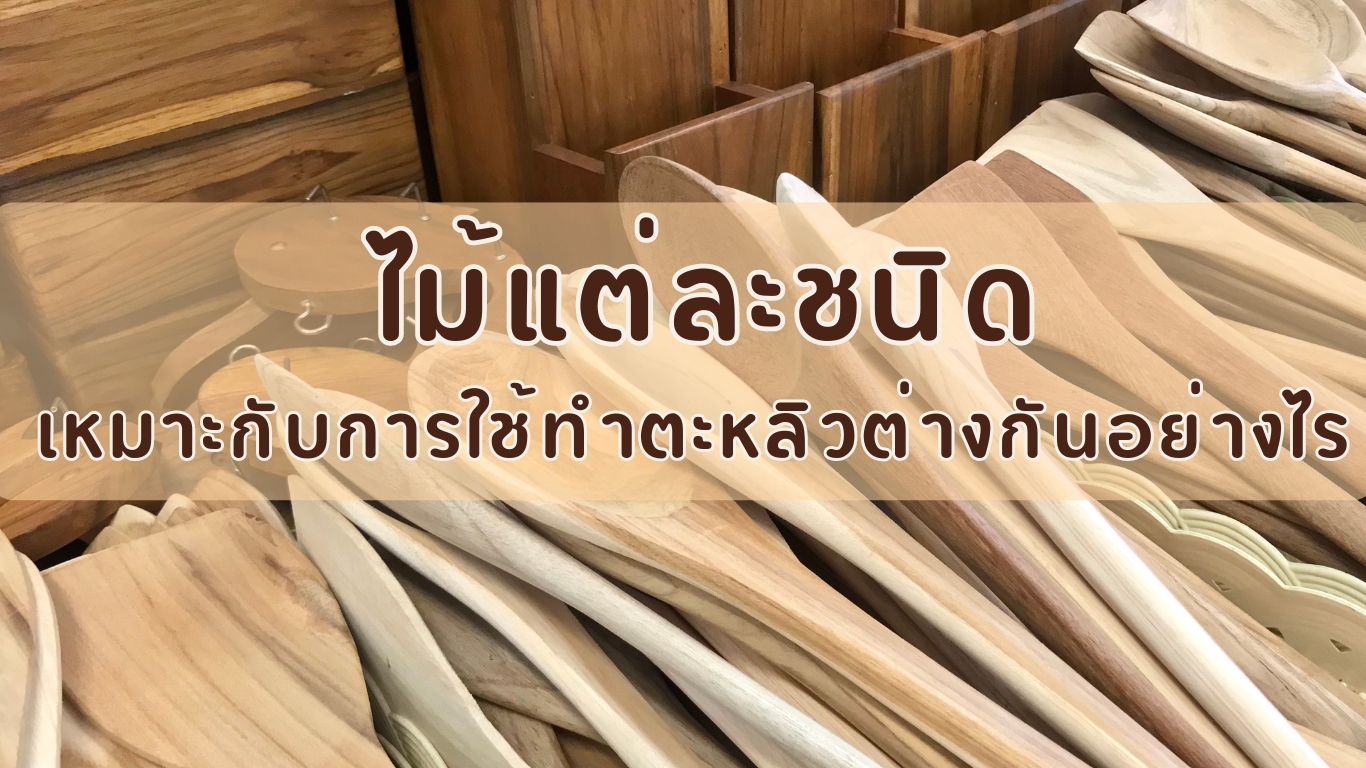 ไม้แต่ละชนิด เหมาะกับการใช้ทำตะหลิวต่างกันอย่างไร