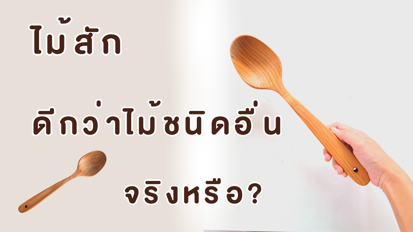 ไม้สัก ดีกว่าไม้ชนิดอื่น จริงหรือ?